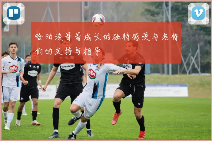 哈珀谈哥哥成长的独特感受与老将们的支持与指导