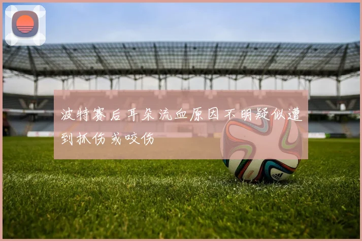 波特赛后耳朵流血原因不明疑似遭到抓伤或咬伤